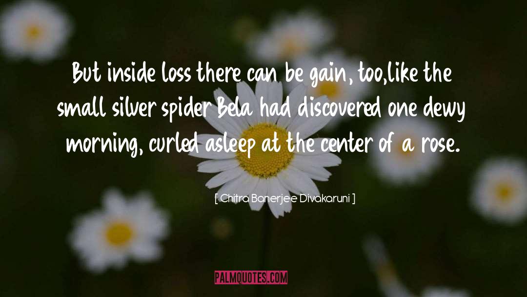 Spider S Lair quotes by Chitra Banerjee Divakaruni