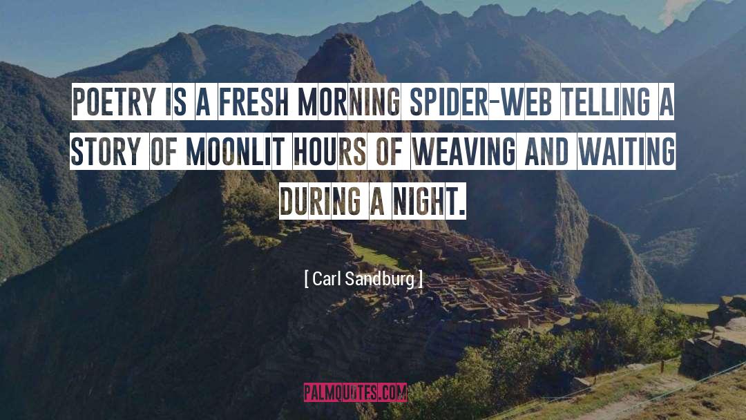 Spider Web quotes by Carl Sandburg