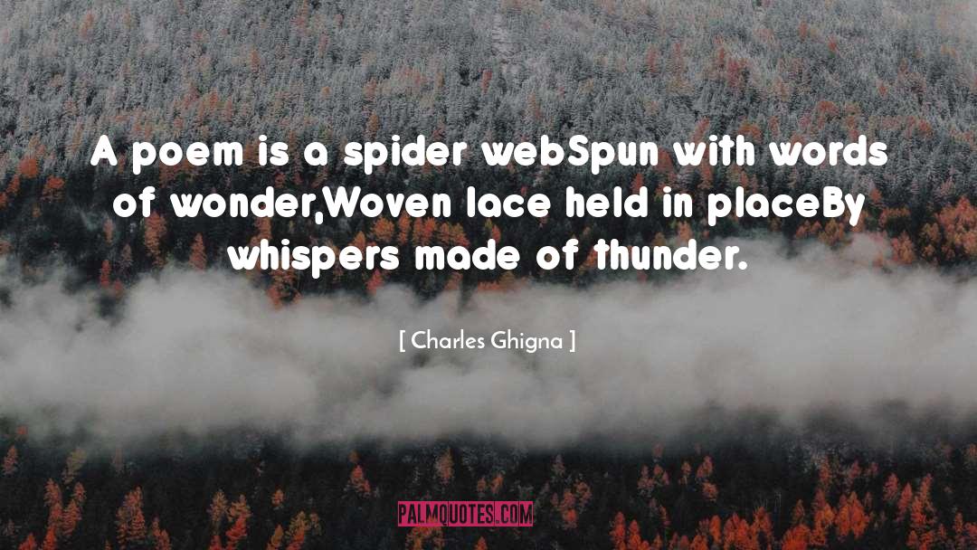 Spider Web quotes by Charles Ghigna