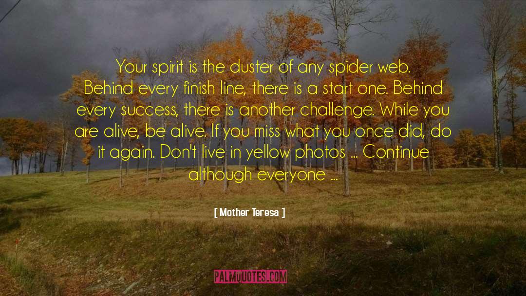 Spider Web quotes by Mother Teresa