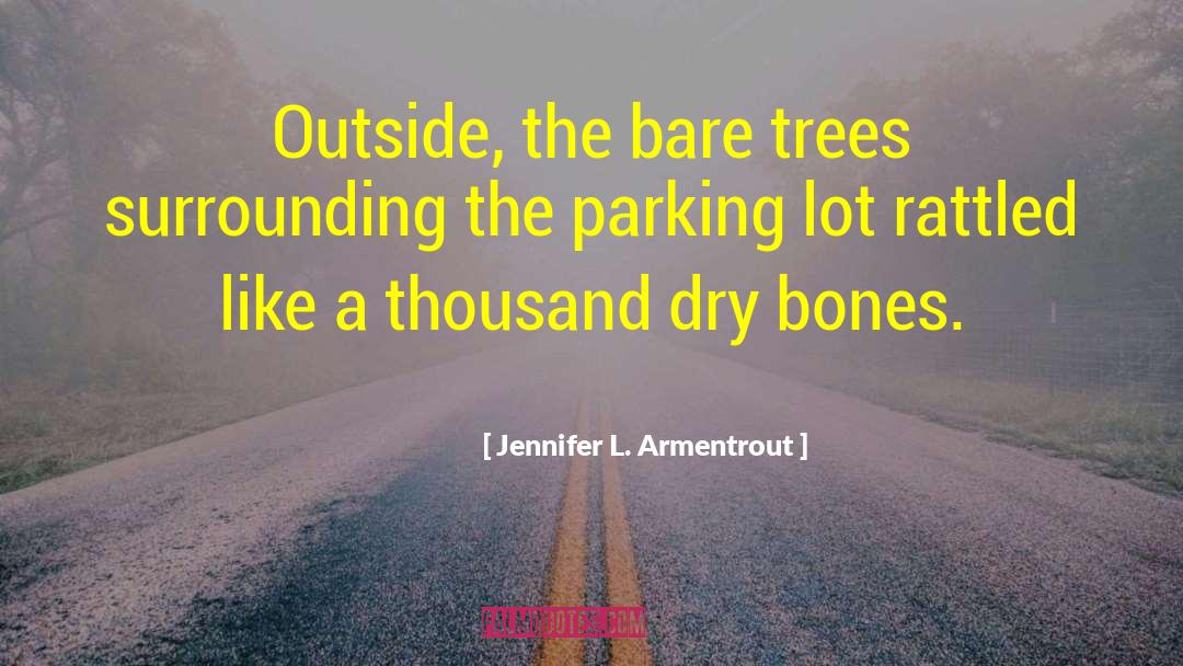 Spider Webbed Trees quotes by Jennifer L. Armentrout