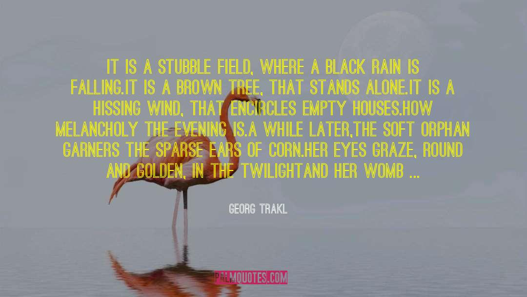 Spider Webbed Trees quotes by Georg Trakl