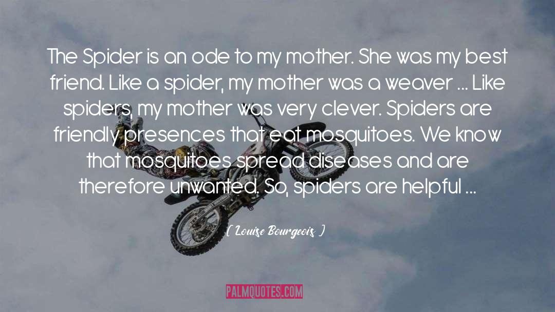 Spiders quotes by Louise Bourgeois