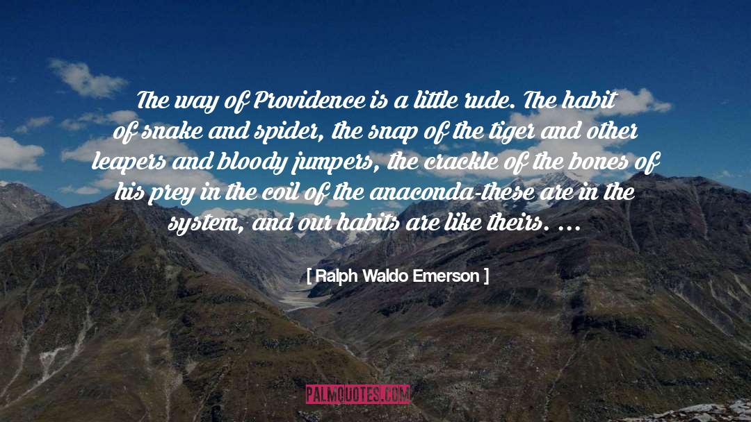 Spiders quotes by Ralph Waldo Emerson