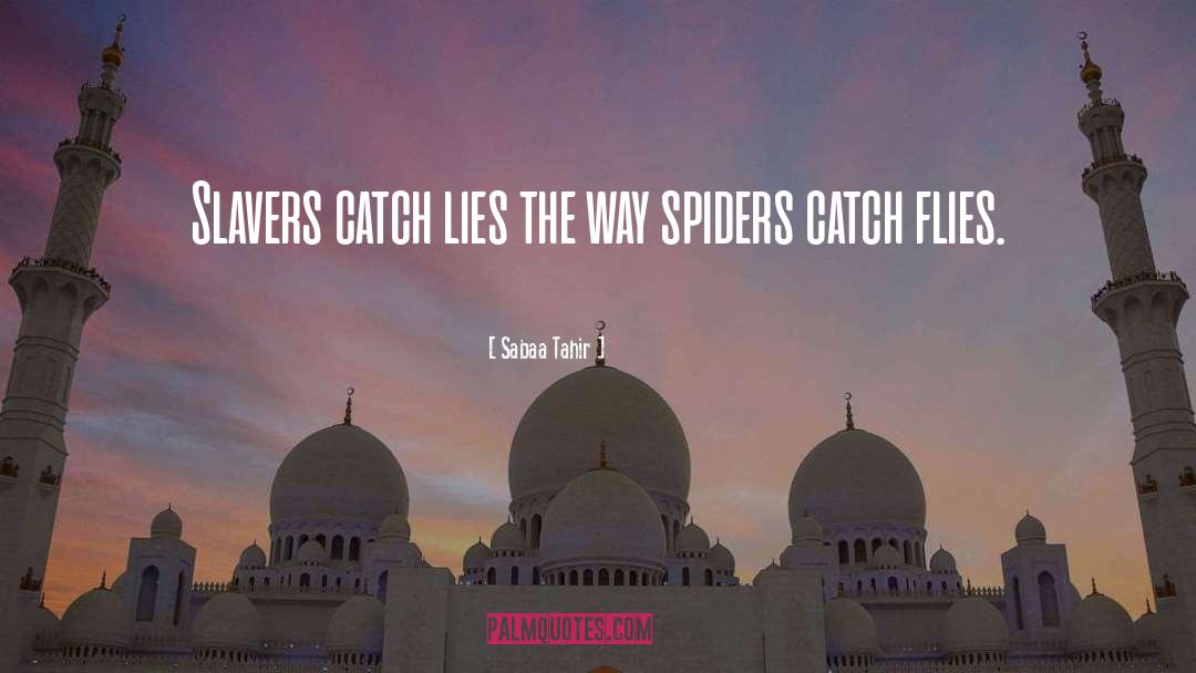 Spiders quotes by Sabaa Tahir