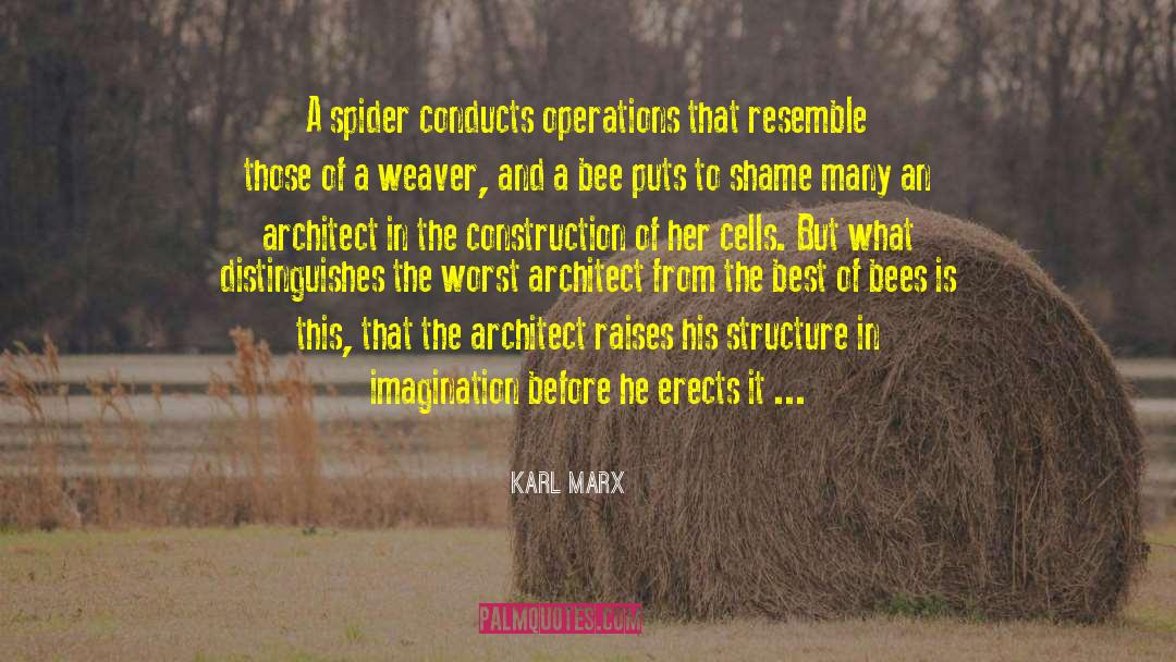 Spiders quotes by Karl Marx