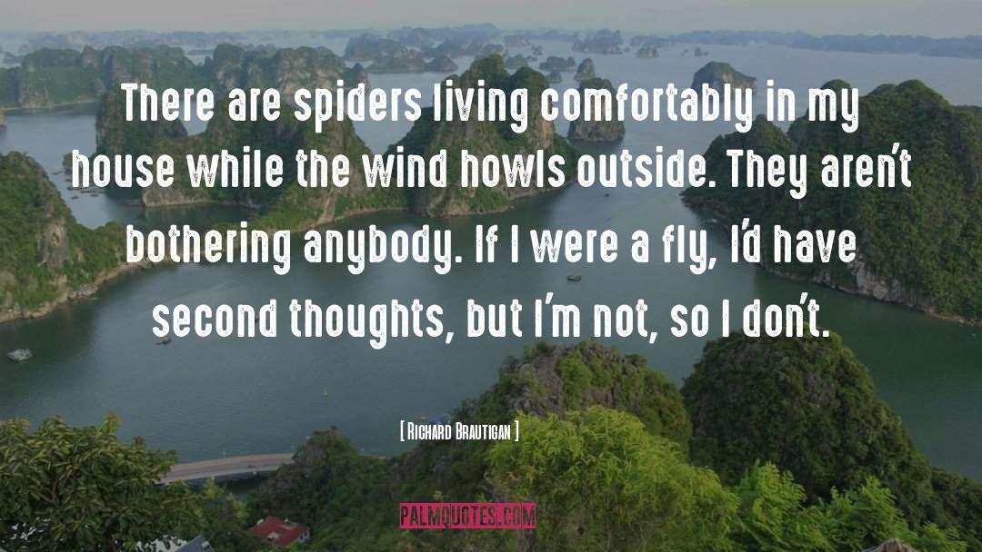 Spiders quotes by Richard Brautigan