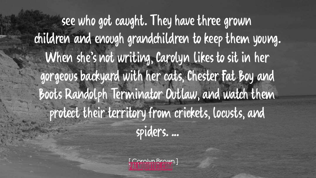 Spiders quotes by Carolyn Brown
