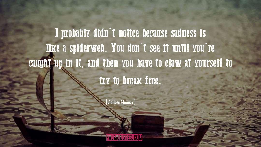 Spiderweb quotes by Colleen Hoover