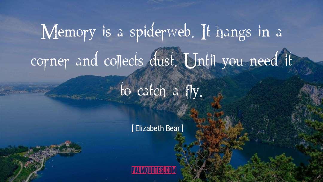 Spiderweb quotes by Elizabeth Bear