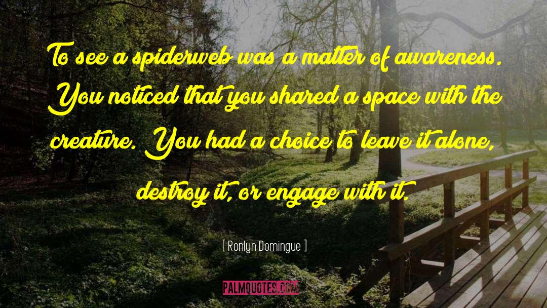 Spiderweb quotes by Ronlyn Domingue