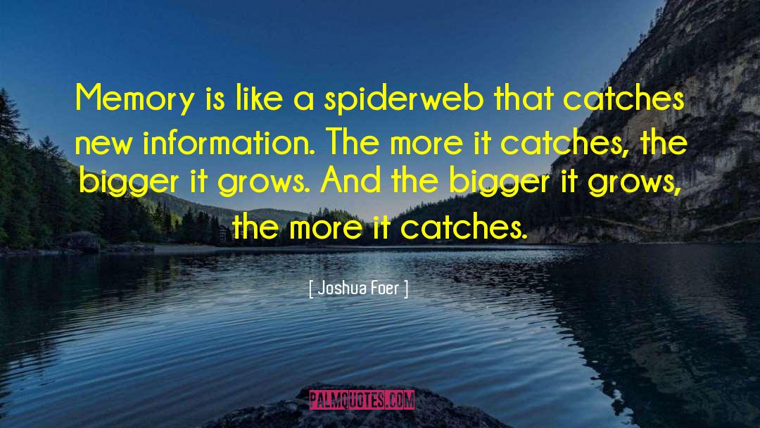 Spiderweb quotes by Joshua Foer