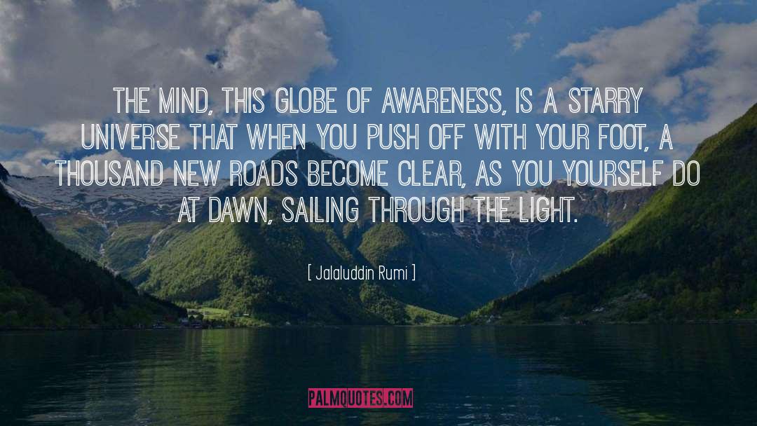 Spin The Dawn quotes by Jalaluddin Rumi