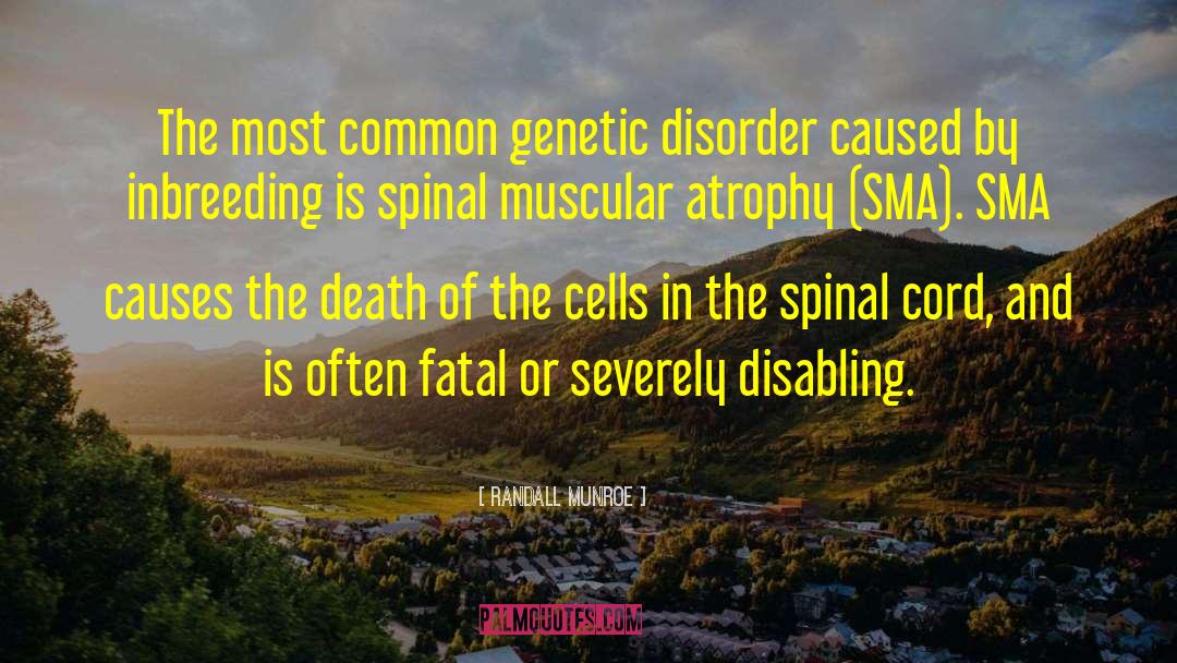 Spinal Cord Injury quotes by Randall Munroe