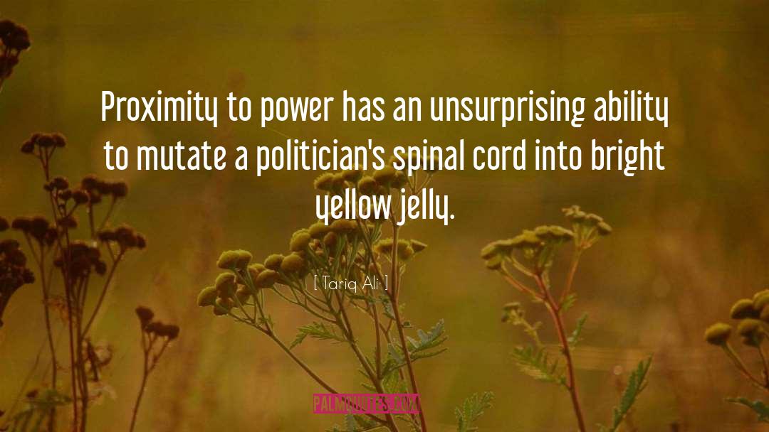 Spinal Cord quotes by Tariq Ali