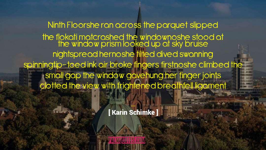 Spinning Plates quotes by Karin Schimke