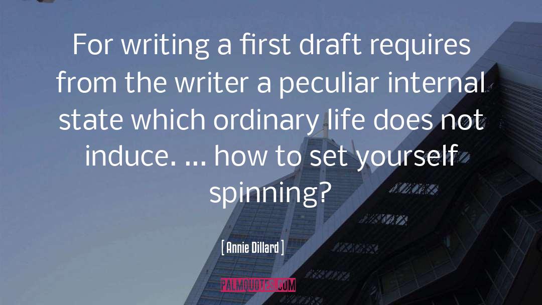 Spinning quotes by Annie Dillard