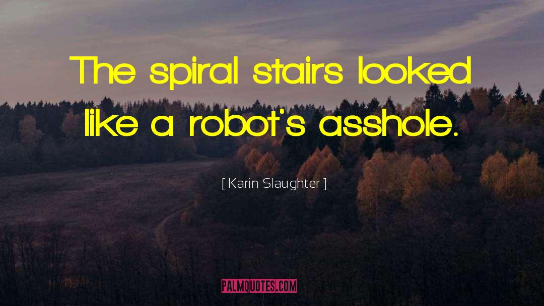 Spiral Dynamics quotes by Karin Slaughter