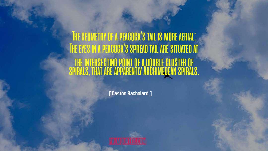 Spirals quotes by Gaston Bachelard