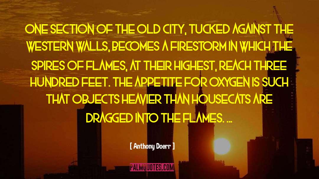 Spires quotes by Anthony Doerr