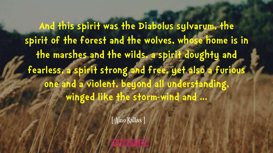 Spirit Colorado quotes by Aino Kallas