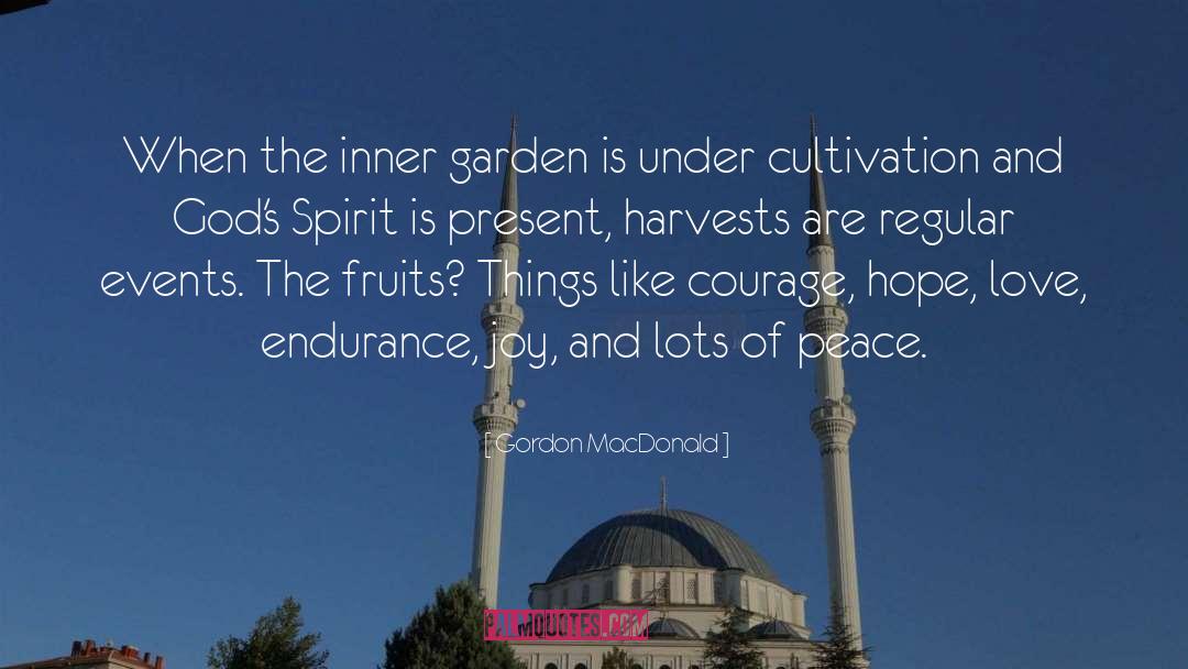 Spirit Communication quotes by Gordon MacDonald