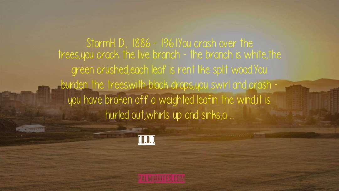 Spirit Storm quotes by H.D.