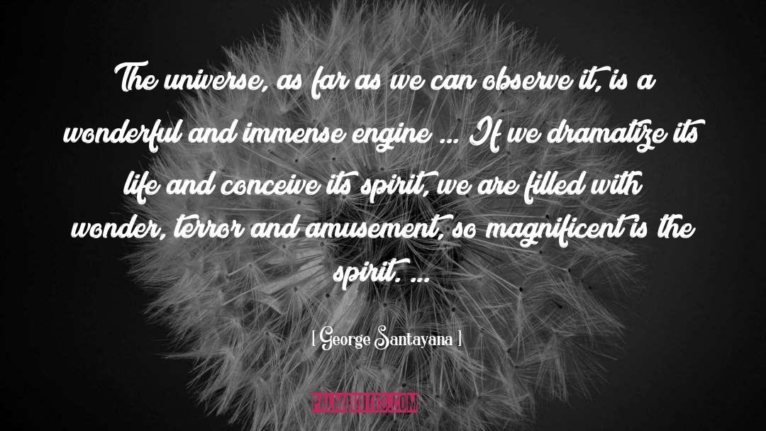 Spirit World quotes by George Santayana