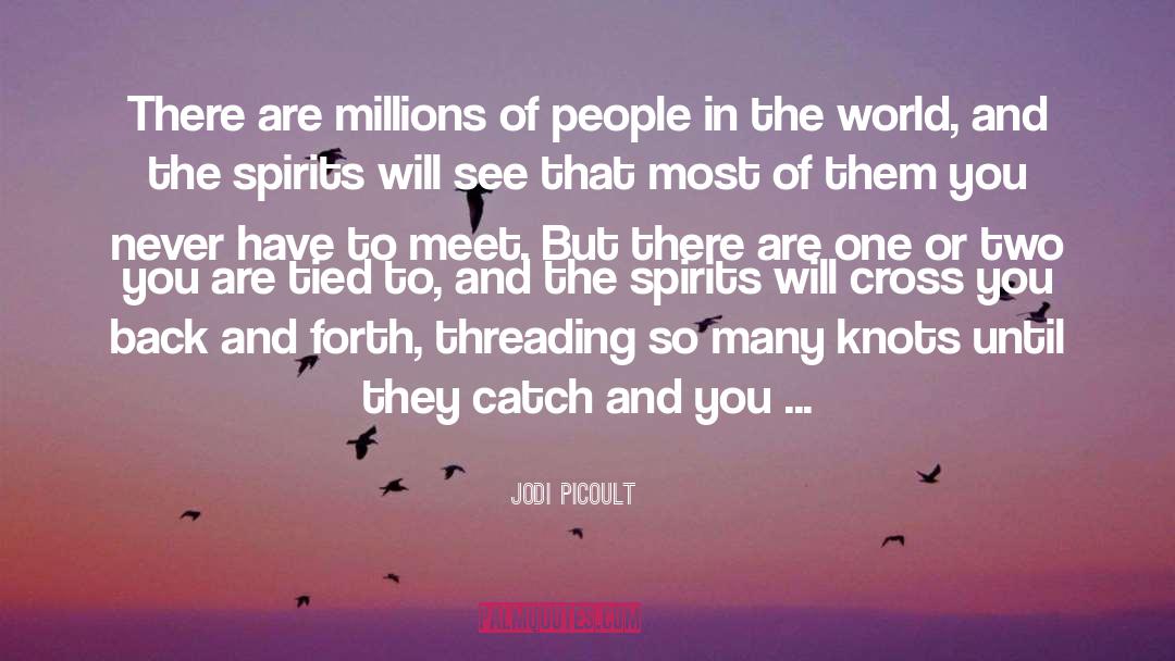 Spirits quotes by Jodi Picoult