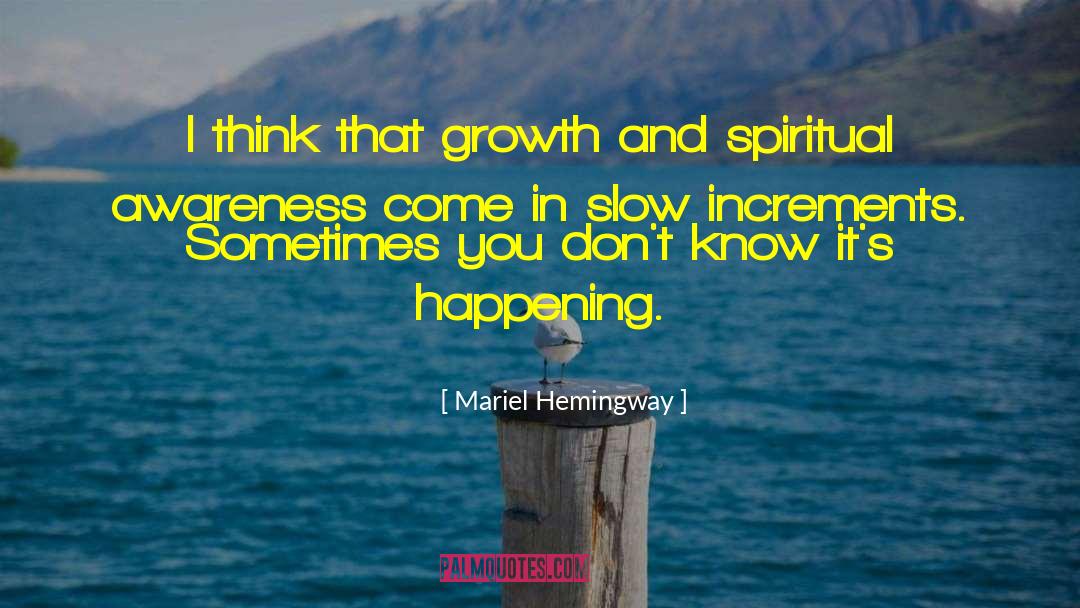 Spiritual Awareness quotes by Mariel Hemingway