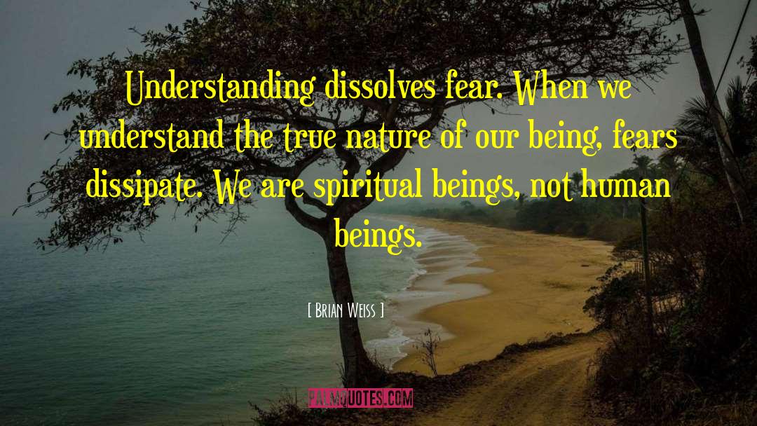 Spiritual Beings quotes by Brian Weiss