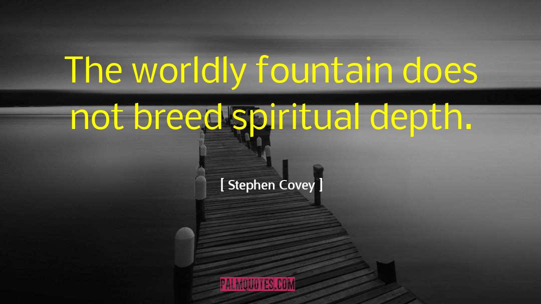Spiritual Depth quotes by Stephen Covey