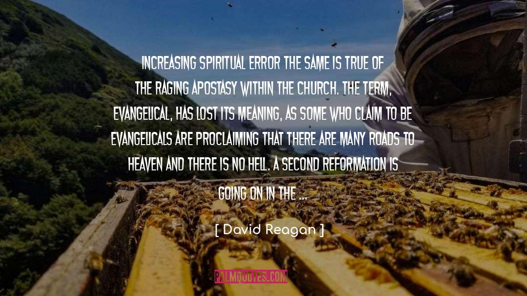Spiritual Depth quotes by David Reagan