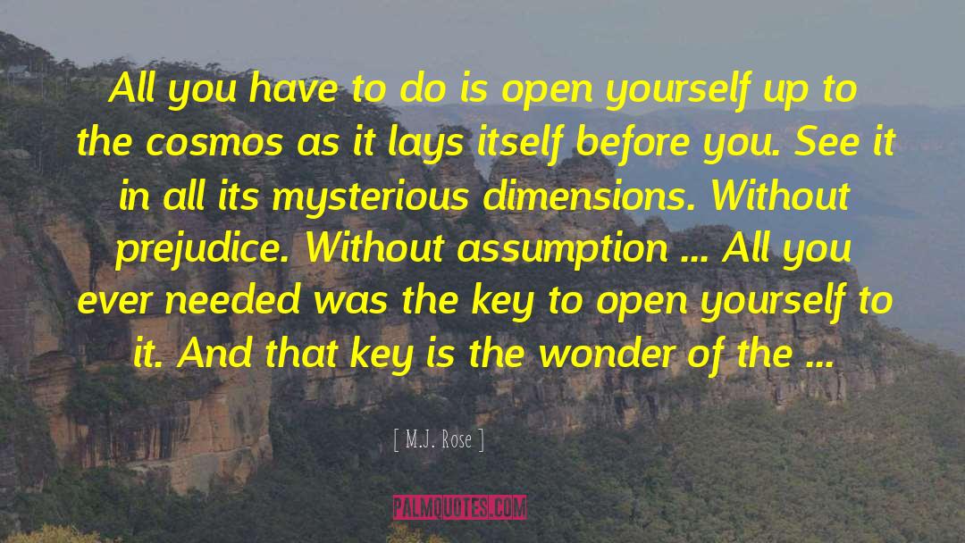 Spiritual Dimensions quotes by M.J. Rose