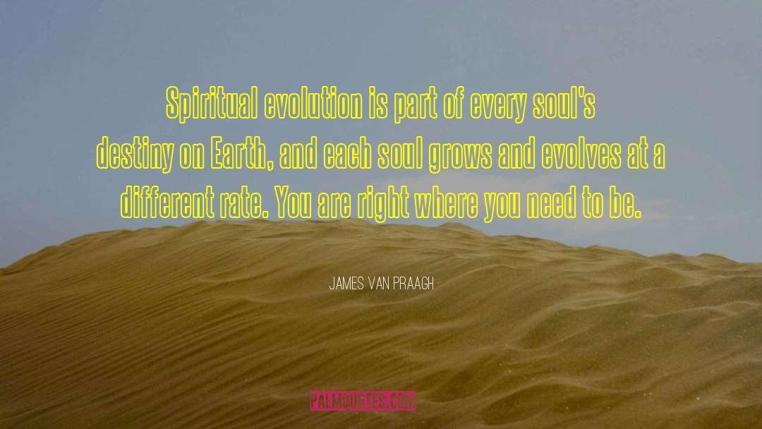 Spiritual Evolution quotes by James Van Praagh