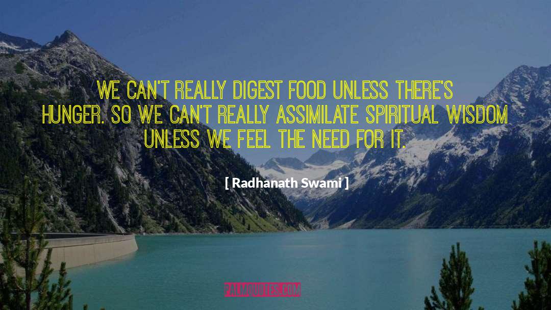 Spiritual Hunger quotes by Radhanath Swami