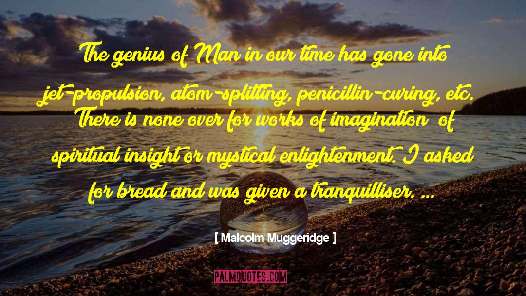 Spiritual Insight quotes by Malcolm Muggeridge