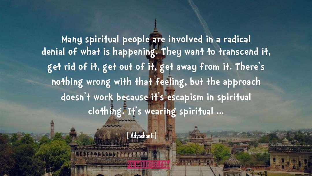 Spiritual Journeys quotes by Adyashanti