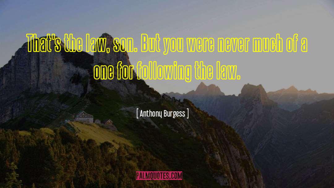 Spiritual Law quotes by Anthony Burgess