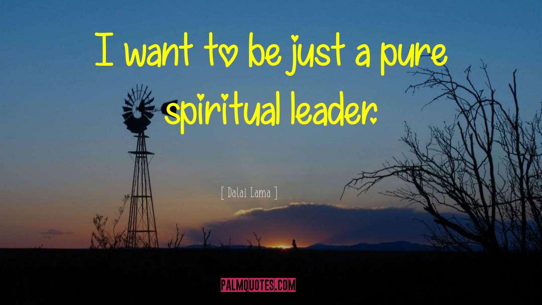 Spiritual Leader quotes by Dalai Lama