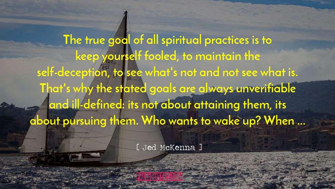 Spiritual Leadership quotes by Jed McKenna