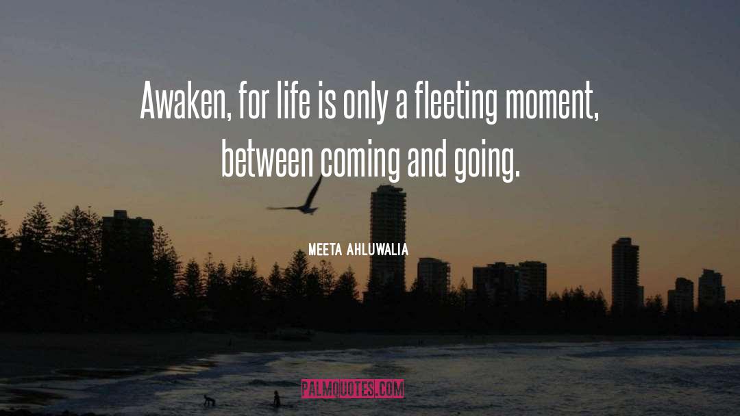 Spiritual Memoir quotes by Meeta Ahluwalia