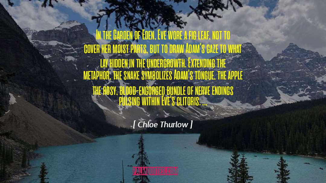 Spiritual Metaphor quotes by Chloe Thurlow