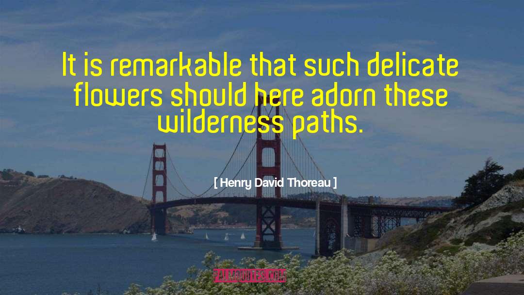 Spiritual Paths quotes by Henry David Thoreau