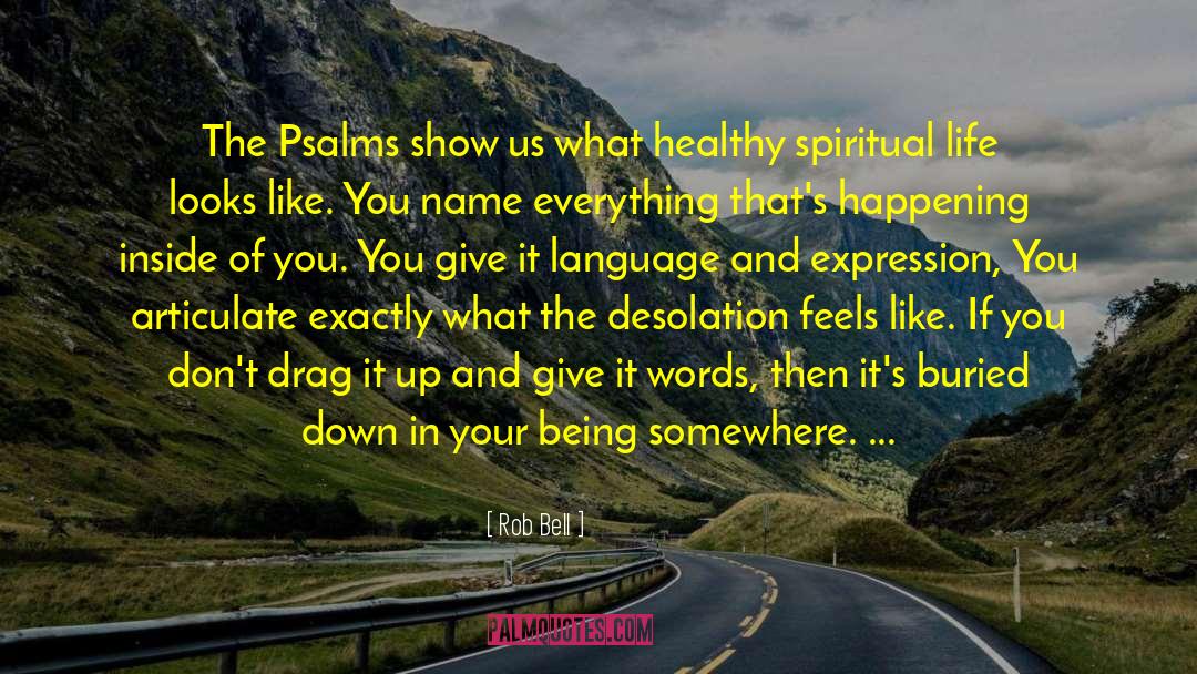 Spiritual Paths quotes by Rob Bell