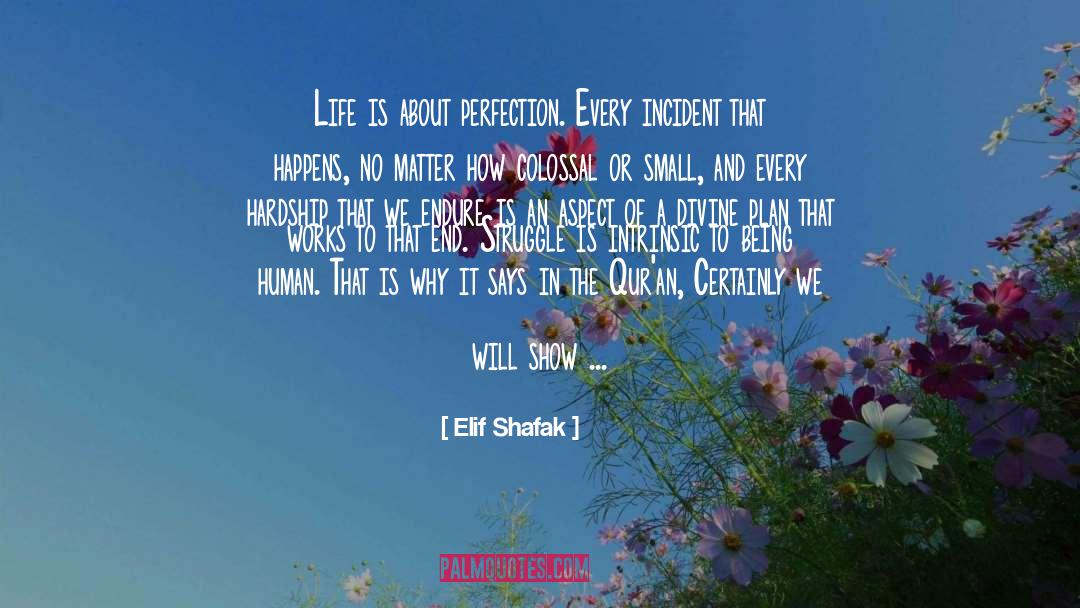 Spiritual Perfection quotes by Elif Shafak