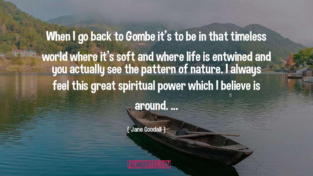 Spiritual Power quotes by Jane Goodall