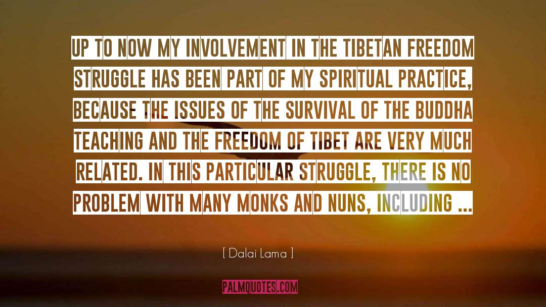 Spiritual Practice quotes by Dalai Lama