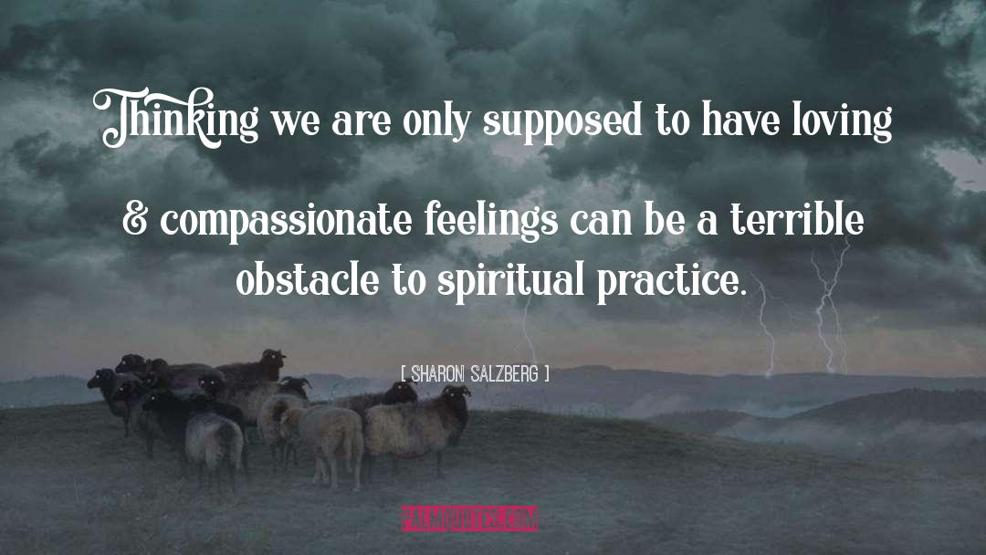 Spiritual Practice quotes by Sharon Salzberg