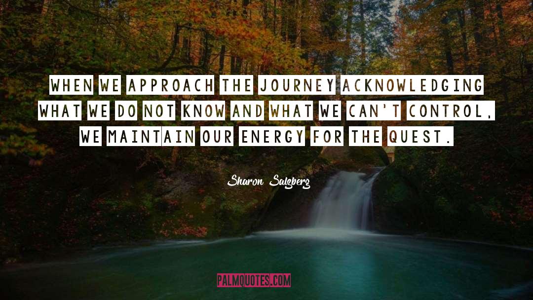 Spiritual Quest quotes by Sharon Salzberg